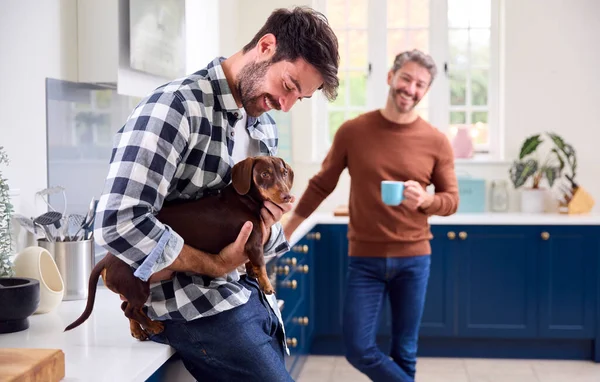 Aynı Cinsiyetten Erkek Çift Mutfakta Dachshund Köpeğini Okşuyor — Stok fotoğraf