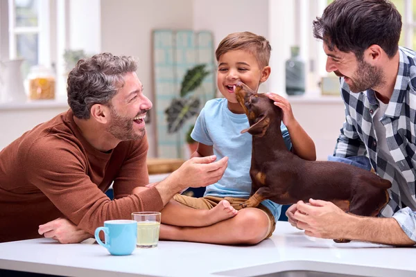 Oğlu Evcil Hayvanı Olan Aynı Cinsiyetten Erkek Aile Mutfaktaki Tezgahta — Stok fotoğraf