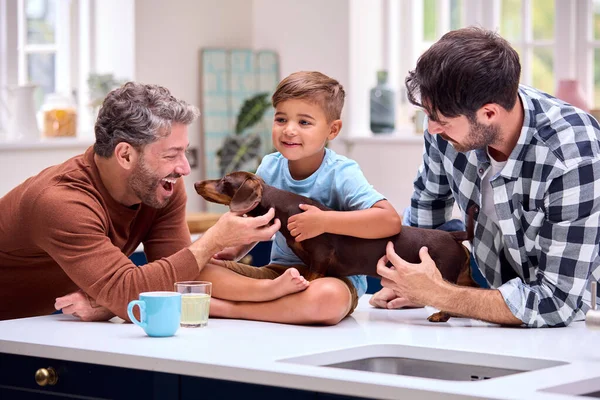 息子とペットダックスフントと同じセックス男性家族は自宅でキッチンでカウンターに座っています — ストック写真