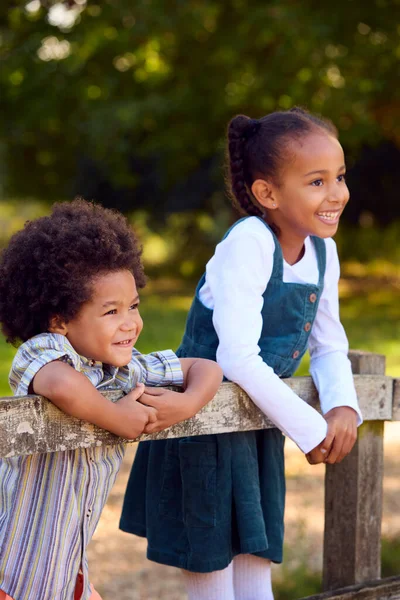 Due Bambini Sorridenti Appoggiati Sulla Recinzione Piedi Campagna — Foto Stock