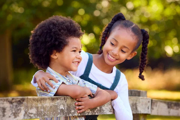 Duas Crianças Sorridentes Que Apoiam Cerca Caminhada Campo — Fotografia de Stock
