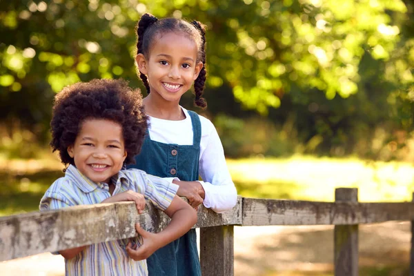 Portret Dwojga Uśmiechniętych Dzieci Pochylających Się Nad Ogrodzeniem Spacerze Wsi — Zdjęcie stockowe