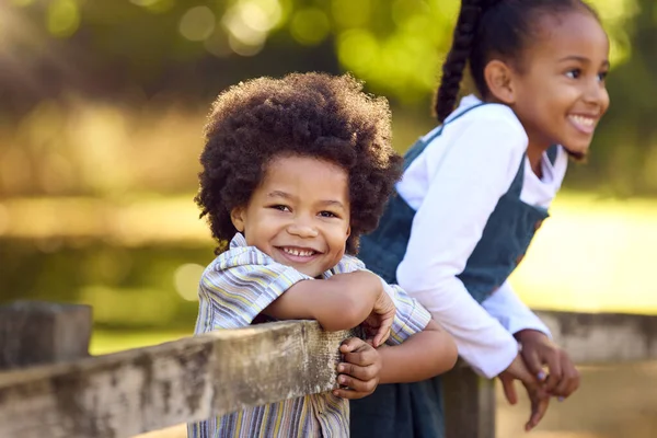 Ritratto Due Bambini Sorridenti Appoggiati Alla Recinzione Piedi Campagna — Foto Stock
