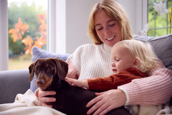 Moeder Met Zoon Zitten Onder Deken Met Huisdier Hond Tijdens — Stockfoto