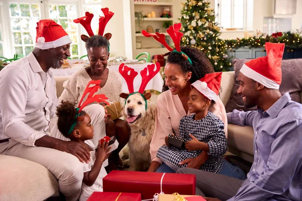 Famiglia Multi Generazione Festeggia Natale Casa Indossando Cappelli Formicai Regali — Foto Stock
