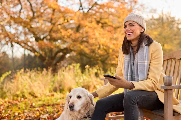 Женщина Шапке Шарфе Мобильным Телефоном Скамейке Запасных Собакой Прогулке Осенью — стоковое фото