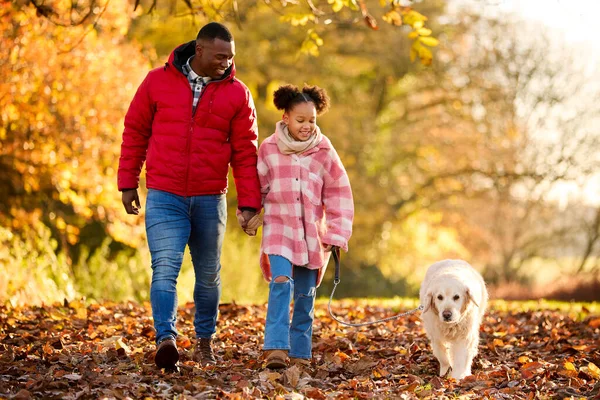 在秋天的乡间 与父亲和女儿一起散步的家庭猎狗 — 图库照片