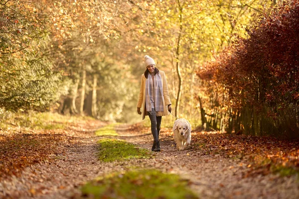 秋の田園地帯でトラックに沿って歩くペット黄金の取得犬と帽子とスカーフを身に着けている女性 — ストック写真