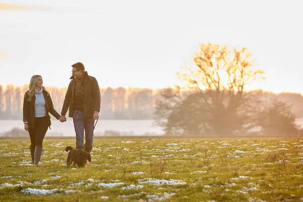 Liebendes Paar Mit Haustier Spaniel Hund Auf Verschneitem Spaziergang Der — Stockfoto