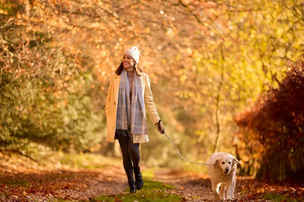 Frau Mit Hut Und Schal Mit Golden Retriever Hund Herbst — Stockfoto