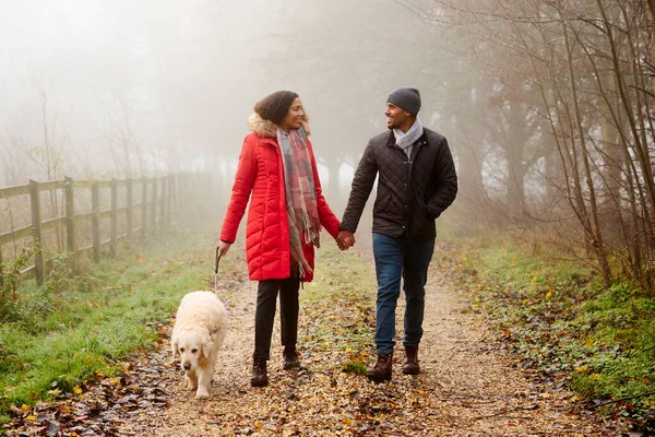 猫やスカーフを身に着けているカップルは霧の秋の田舎でペットゴールデンレトリバー犬を歩く — ストック写真