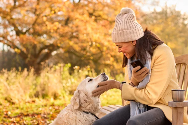 秋の田舎を歩く犬とベンチで携帯電話で帽子とスカーフを身に着けている女性 — ストック写真