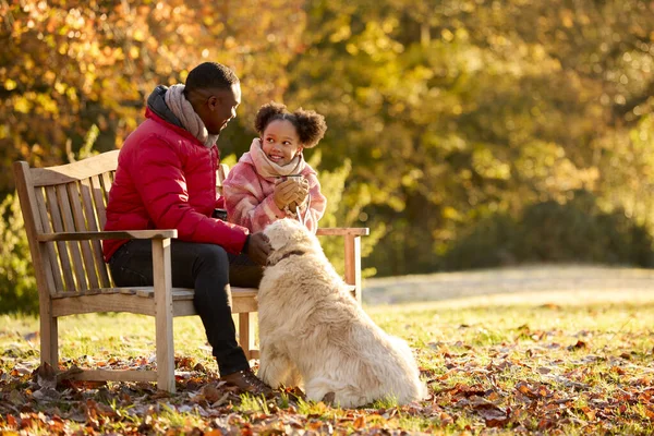 Baba Kızı Sıcak Içecekleriyle Kışın Kırsalda Evcil Köpekleriyle Bankta Oturuyorlar — Stok fotoğraf