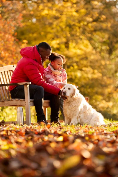 Família Atirou Com Pai Filha Sentados Banco Com Cão Estimação — Fotografia de Stock