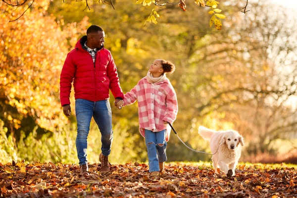 秋の田舎で父と娘がペットゴールデンレトリバー犬と一緒に撮影 — ストック写真