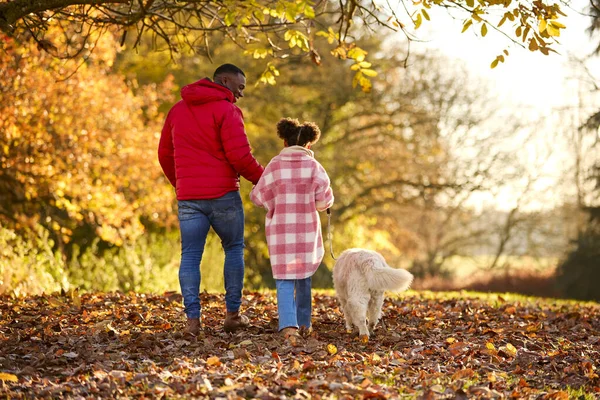 Zadní Pohled Otce Dceru Walking Pet Golden Retrívr Pes Podzim — Stock fotografie
