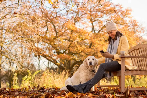 Жінка Носить Капелюх Шарф Мобільним Телефоном Лавці Собакою Прогулянки Осінній — стокове фото