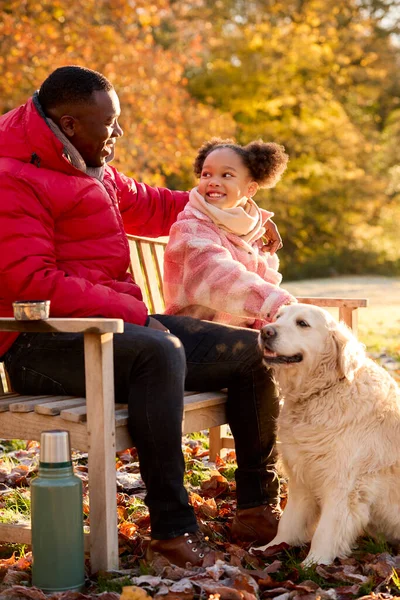 Família Atirou Com Pai Filha Sentados Banco Com Cão Estimação — Fotografia de Stock