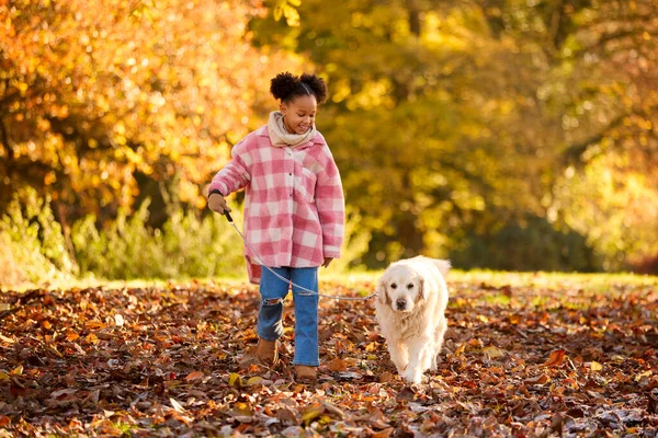 Girl Walking Pet Golden Retriever Dog Autumn Countryside — Stock Photo, Image