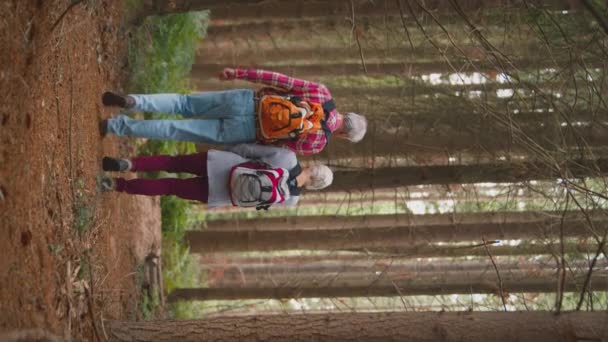 垂直ビデオリアビューショットの垂直ビデオの笑顔アクティブシニアカップル保持手で一緒に森林の田舎をハイキング スローモーションで撮影 — ストック動画