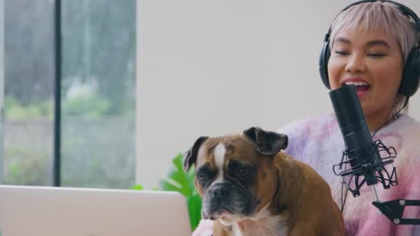 Mujer Con Mascota Francés Bulldog Podcast Grabación Radiodifusión Radio Estudio — Vídeos de Stock