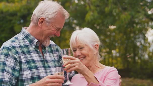 Emerytowana Para Seniorów Świętująca Dobre Wieści Lub Wygrywająca Wznosząc Toast — Wideo stockowe