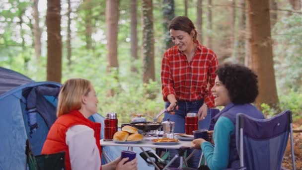 Grupp Kvinnliga Vänner Camping Semester Skogen Matlagning Måltid Och Dricka — Stockvideo