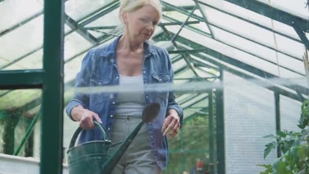 Mature Woman Watering Can Gardening Greenhouse Home Shot Slow Motion — Stock Video