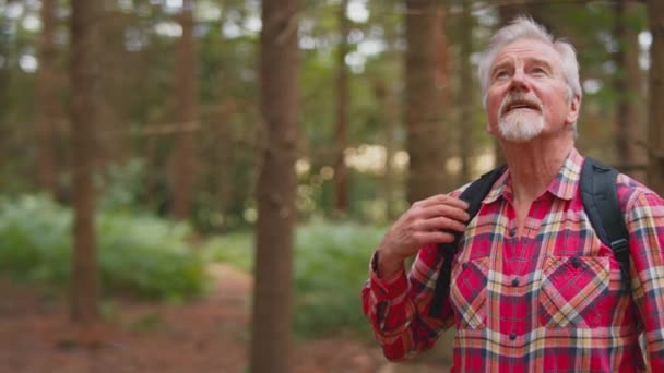 Sonriente Hombre Mayor Activo Con Mochila Caminata Través Los Bosques — Vídeos de Stock