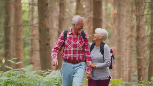 Uśmiechnięta Aktywna Para Seniorów Trzymająca Się Razem Ręce Wędrówce Leśnej — Wideo stockowe