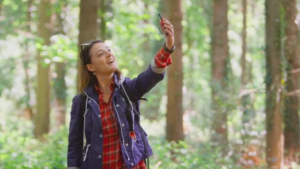 Kobieta Wędrówce Lesie Rozmowy Wideo Telefon Komórkowy Podziału Krajobrazy Zastrzelony — Wideo stockowe