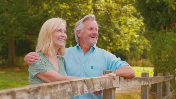 Kochająca Uśmiechnięta Para Dojrzała Lub Starsza Spacerująca Letniej Wsi Odpoczywająca — Wideo stockowe