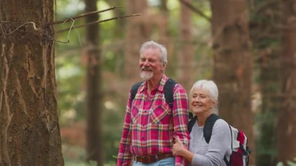 Lächelndes Rühriges Seniorenpaar Auf Gemeinsamer Wanderung Durch Waldlandschaft Aufgenommen Zeitlupe — Stockvideo
