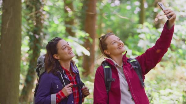 Två Kvinnliga Vänner Poserar För Selfie Mobiltelefon Vandring Genom Skogen — Stockvideo