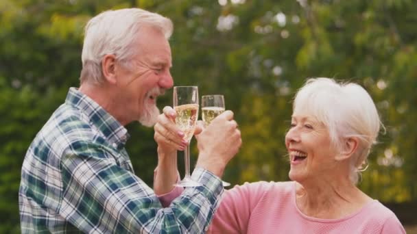 Emekli Yaşlı Çift Iyi Haberleri Kutluyor Kollarını Bağlayıp Bahçede Şampanya — Stok video