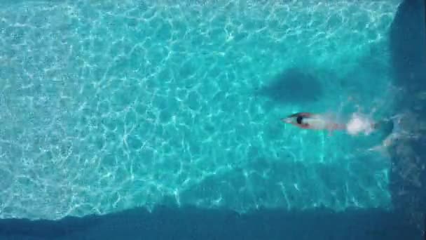 Overhead Drone Disparo Hombre Sumergiéndose Piscina Aire Libre Nadando Bajo — Vídeo de stock