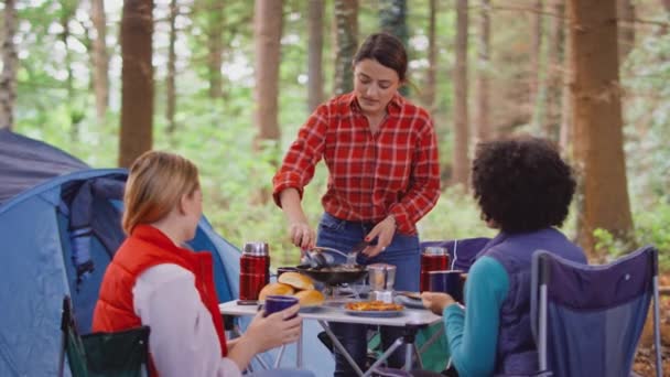 Group Female Friends Camping Holiday Forest Cooking Meal Drinking Coffee — Stock Video