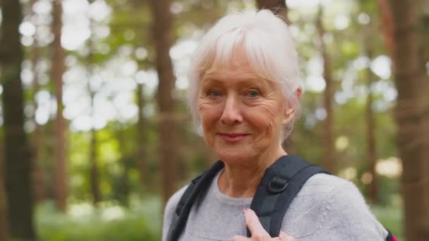緑豊かな田園地帯をハイキングするバックパック付きの笑顔活動的なシニア女性の垂直ビデオポートレートは 自然の平和と美しさを楽しんで スローモーションで撮影 — ストック動画
