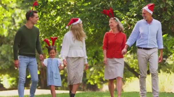 Famille Multi Génération Portant Des Chapeaux Père Noël Des Bois — Video