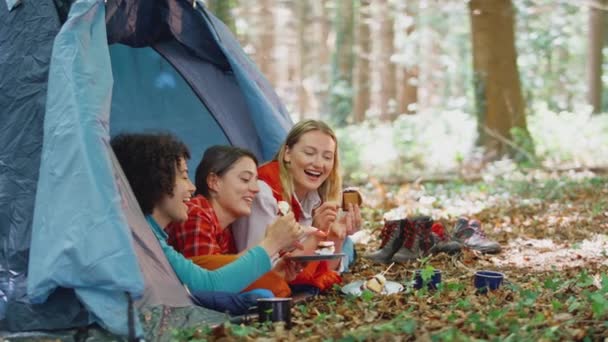 Group Female Friends Camping Holiday Woods Lying Tent Eating Mores — Stock Video