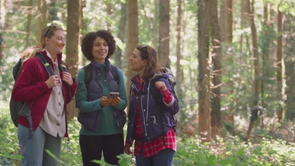 Female Friends Hiking Woods Using Gps App Mobile Phone Navigate — Stock Video