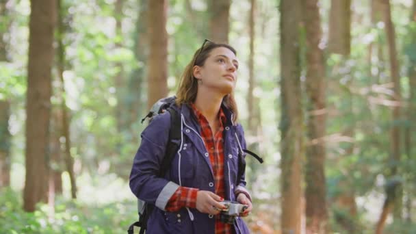 Woman Hike Woods Taking Photo Dslr Camera Shot Slow Motion — Stock Video