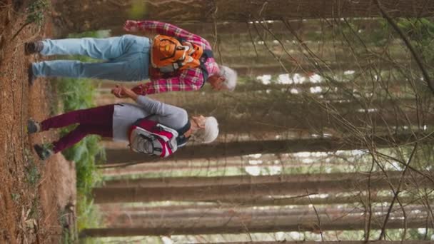 垂直ビデオリアビューショットの垂直ビデオの笑顔アクティブシニアカップル保持手で一緒に森林の田舎をハイキング スローモーションで撮影 — ストック動画