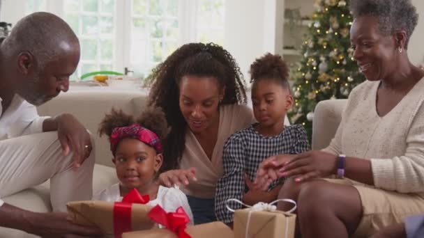 Famille Multi Génération Célébrant Noël Maison Assis Dans Salon Cadeaux — Video