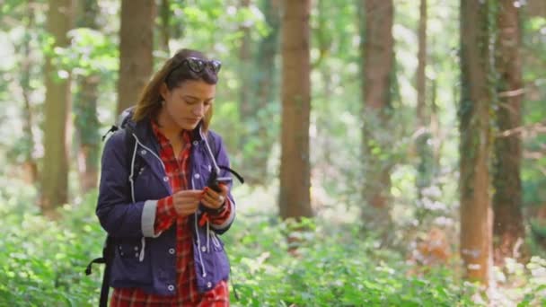 携帯電話でGpsアプリを使用して森の中を歩く女性のハイキング スローモーションで撮影 — ストック動画