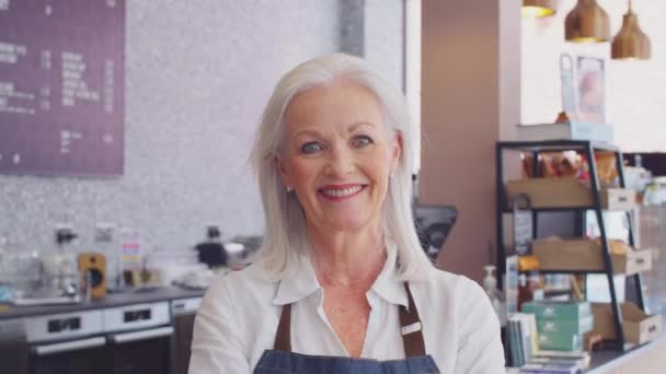 Portrait Une Femme Adulte Propriétaire Travailleuse Dans Café Tourné Ralenti — Video