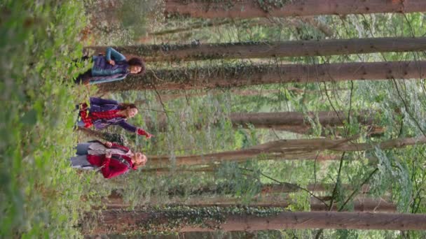 Vidéo Verticale Groupe Amies Vacances Randonnée Dans Les Bois Profitant — Video
