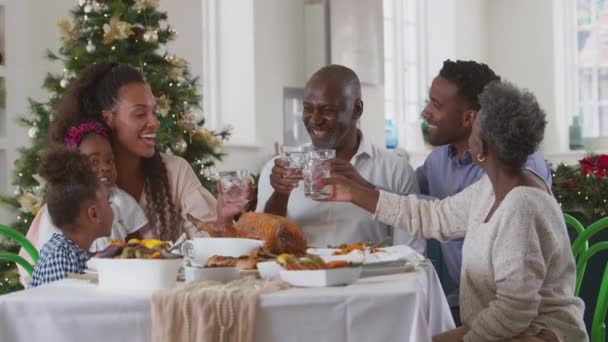 Familia Multigeneracional Celebrando Navidad Casa Haciendo Brindis Con Agua Antes — Vídeos de Stock