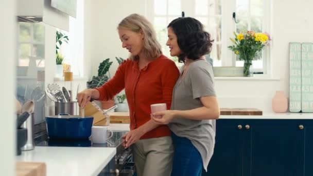 Liebevolles Gleichgeschlechtliches Reifes Paar Hause Beim Gemeinsamen Kochen Der Küche — Stockvideo