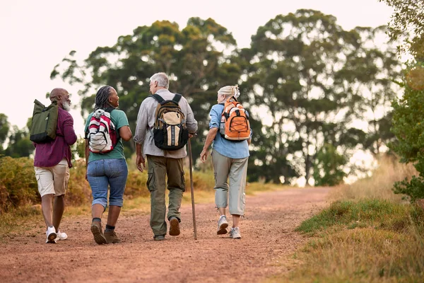 Visão Traseira Amigos Seniores Ativos Desfrutando Caminhadas Pelo Campo Caminhando — Fotografia de Stock